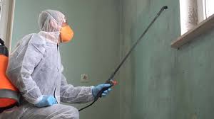 Mold Remediation for Vacation Homes in Colfax, CA